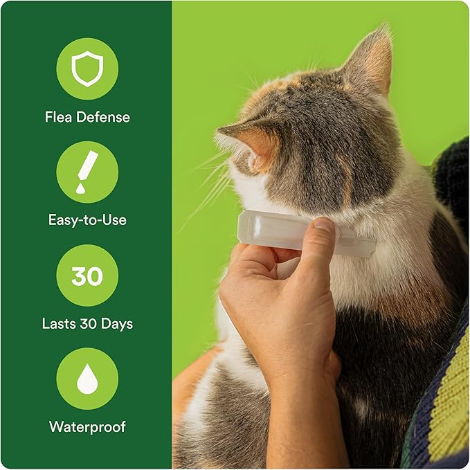 ADVECTA Flea Prevention for Small Cats 5-9 lbs (4 Doses) + CAPSTAR Flea Treatment for Cats 2-25 lbs (6 Doses) Bundle