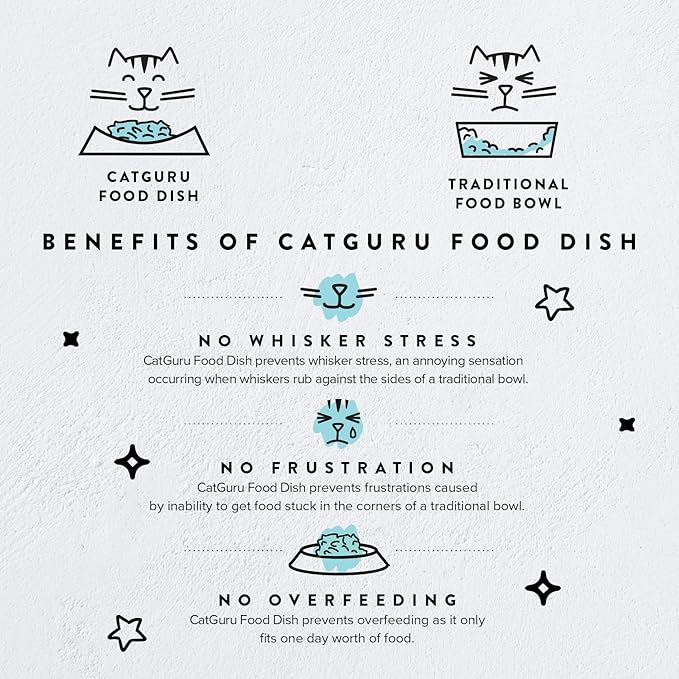 CatGuru Cat Bowls, Whisker Friendly Food Bowl for Indoor Cats, Reliefs Whisker Fatigue, Wide Kitten Dish, Non Slip Pet Dishes, Shallow Pet Plates (Pink, (Pack of 2))