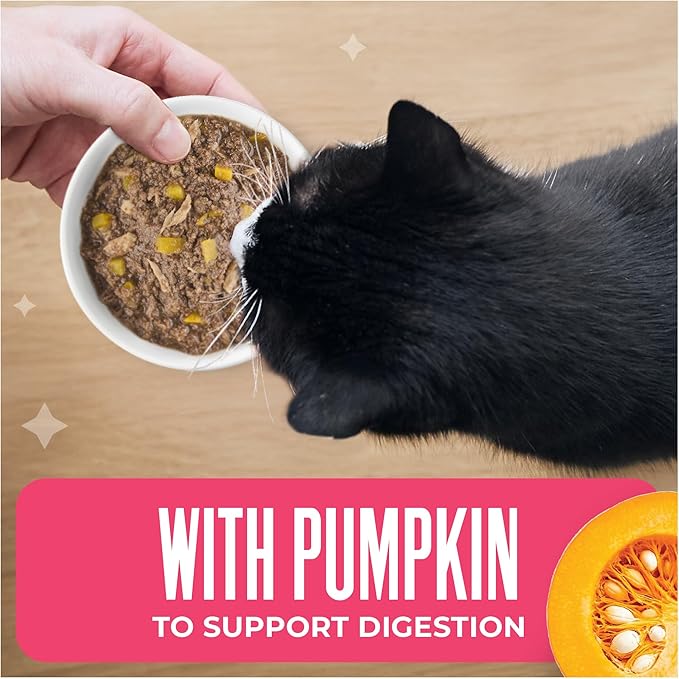 Tiki Cat Friends Tuna, Shrimp & Pumpkin, 2.8 oz. Can (12 Count)