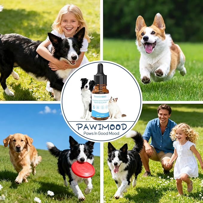 2 Pack No-Rinse Coat Care Essence for Dogs & Cats | Includes Fine Mist Spray Bottle (60ml/2oz Refillable) to Nourish & Shine | Conditioning Formula Soothes Skin, Pomegranate Scent (Transparent)