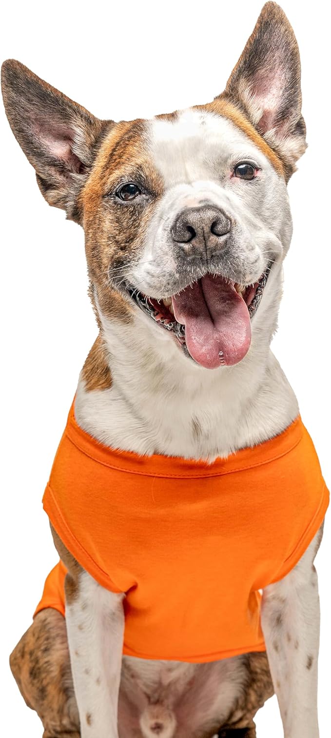 I Do Crew Dog Tee Shirt | Sleeveless | Wedding Photo Prop | Bridal Shower | Engagement Announcement (Orange, 4X-Large 382)