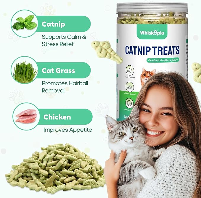13.4 OZ Catnip Cat Treats for Indoor Cats with Cat Grass Hairball Control & Dental Care Natural Chicken Kitten Snacks Crunchy Training Biscuits for Teeth Cleaning