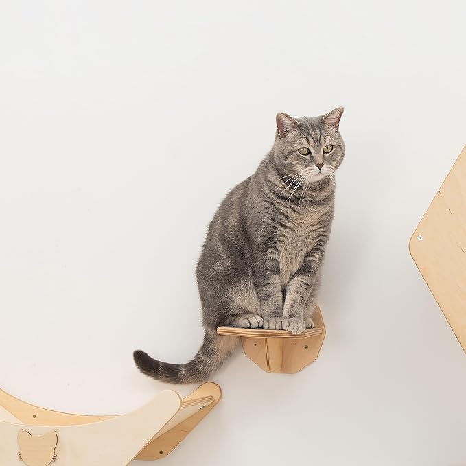 Wood Cat Bridge Cat Steps Cat Bed Wall Cat Toy Rustic Cat Tree Wall Decor Cat Lover Gift New Home Gift Cat Furniture Wall (Oak, 3 steps)