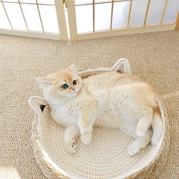 Asixxsix Cat Scratcher, Circular Cat Scratcher Bed with Breathable Mat and Small Ears Design, for Indoor Cats to Scratch Play and Lounge, Furniture Protector for Sofa Chair (L)