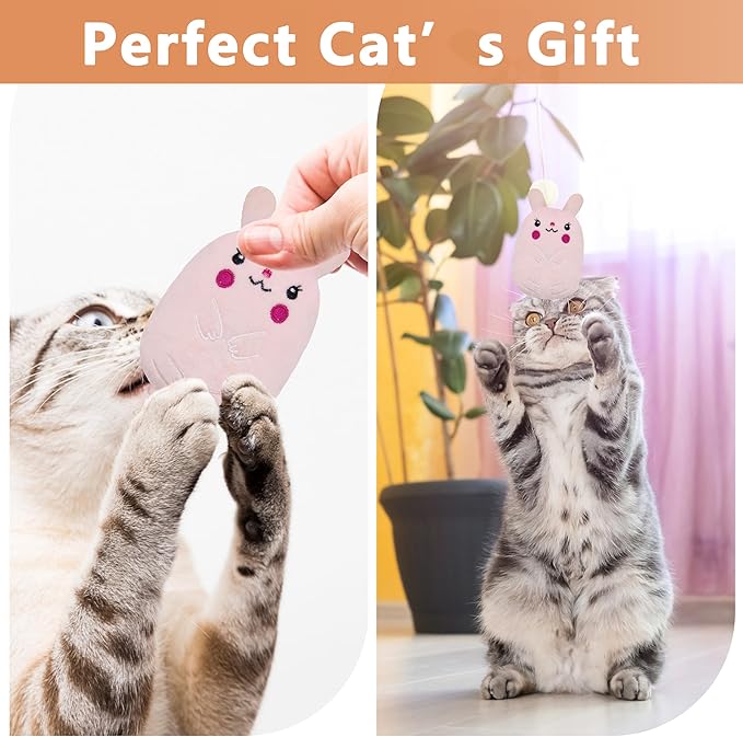 5pcs Crinkle Sound cat Toys, Funny cat Toys, bite Resistant cat Toys, Indoor Cartoon cat Toys for cat,cat chew Toys.