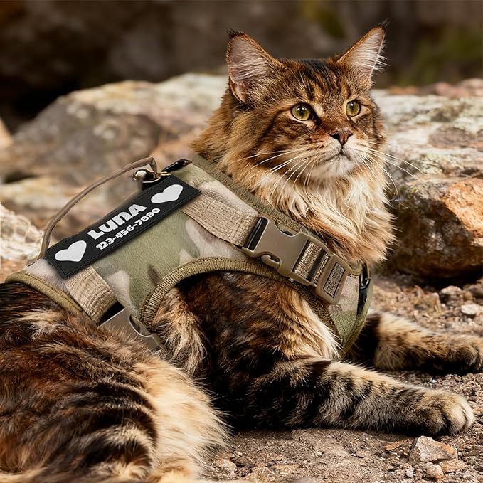 Cat Harness and Leash Escape Proof Tactical Cat Harness with Custom Patches Adjustable Soft Vest for Walking & Training Comfortable Outdoor Gear Fits Small Medium Large Cats (8-20 lbs)