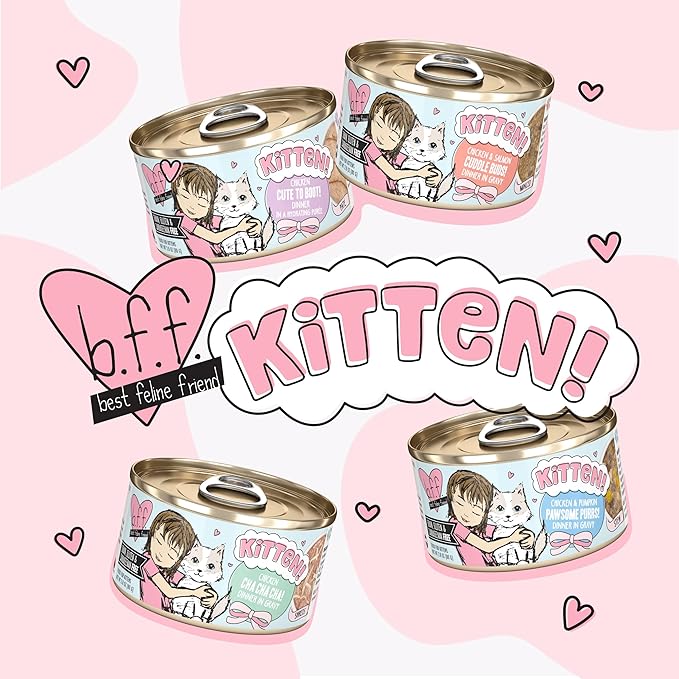 Weruva B.F.F. Kitten Food, Cha Cha Cha with Chicken in Gravy, 2.8oz Can (Pack of 12)