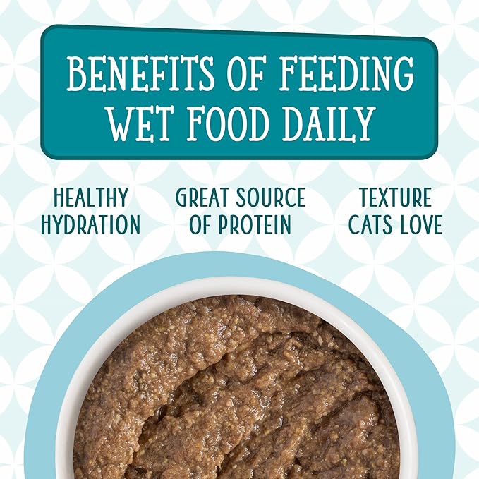 Weruva Cats in The Kitchen Slide N' Serve Grain-Free Natural Wet Pate Cat Food Pouches, Cat Times at Fridgemont, 3oz Pouch (Pack of 12)