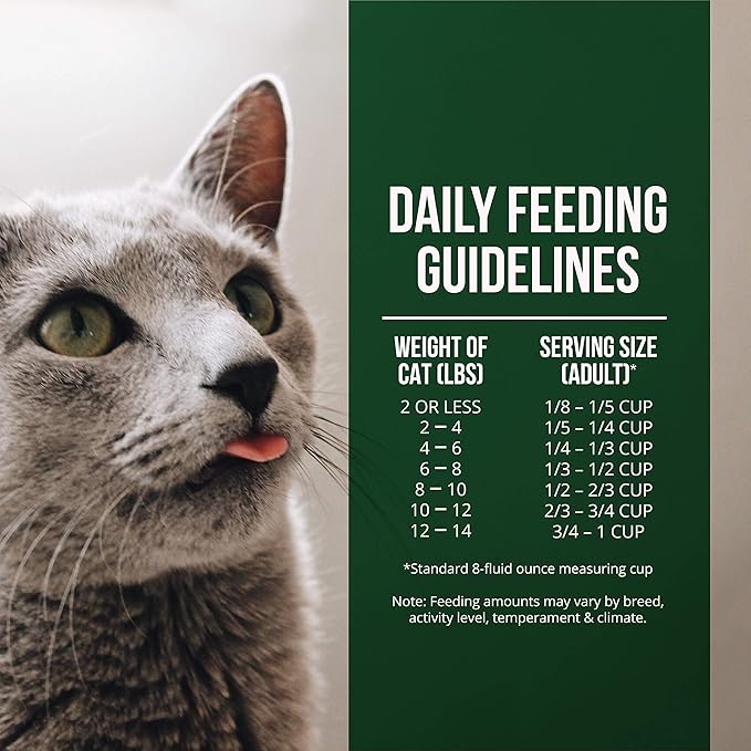Fussie Cat Market Fresh Salmon & Chicken Meal Formula Grain-Free Dry Cat Food 4lb