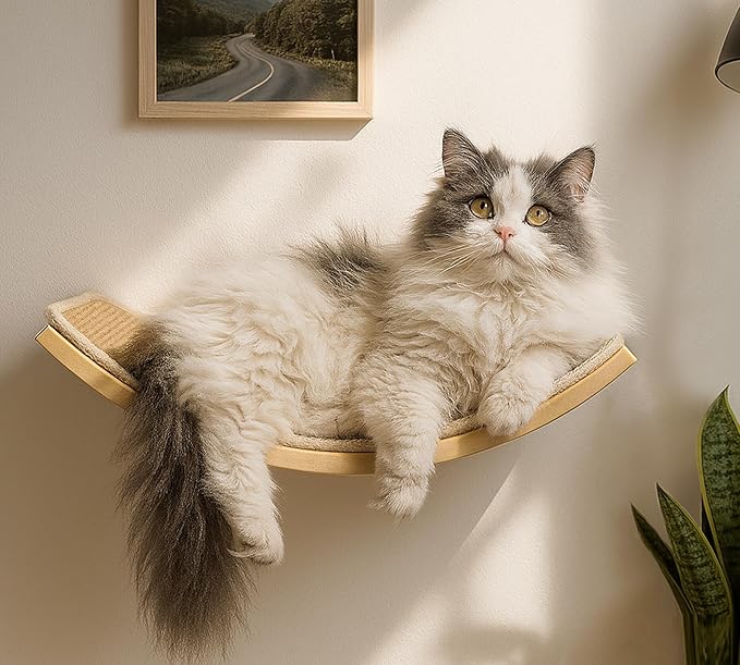 Curved Cat Wall Hammock with Scratchable Sisal Pad, Large Floating Cat Shelf for Wall, Wall Mounted Beige Bed for Playing, Climbing, and Sleeping