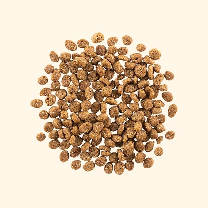 GATHER Free Acres Free-Run Chicken Grain-Free & Gluten-Free Dry Cat Food, Healthy Kibble Made with USDA Certified Organic & Non-GMO Ingredients, for Adults & Seniors, 4 lb Bag