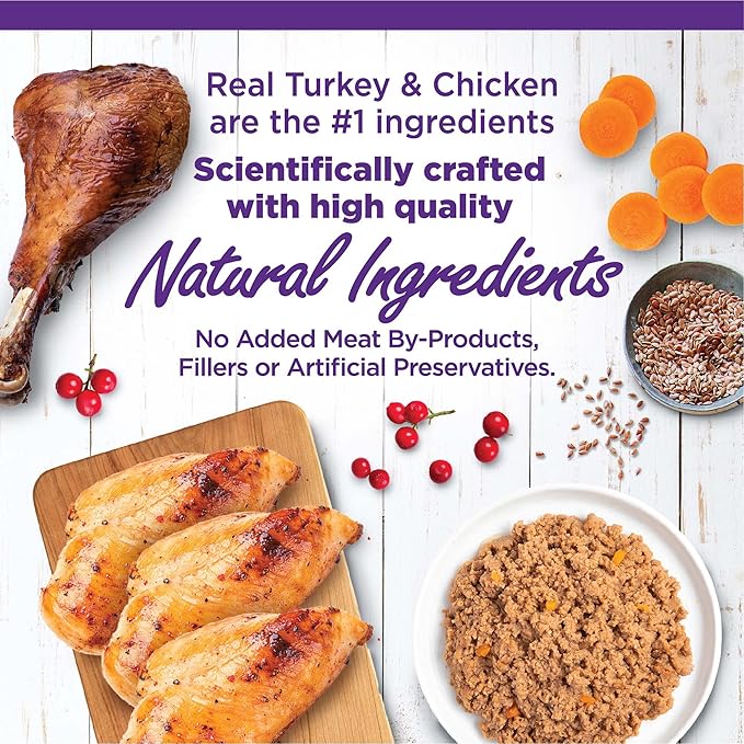 Wellness Complete Health Pate Variety Pack Adult Canned Wet Cat Food, Natural, Protein Rich, Grain Free, Chicken and Turkey Favorites, 5.5 oz, Pack of 12 Cans