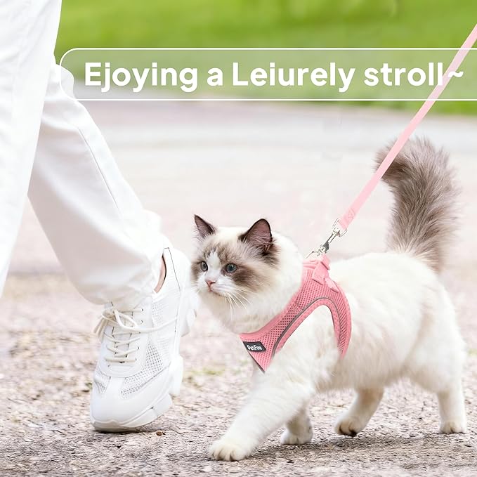 PetiFine Extra Small Step in Dog Harness and Leash Set, Cat Harness and Leash Escape Proof, All Weather Mesh Reflective, Step-in Air Vest Harnesses for Puppy(XXXS, Pink)