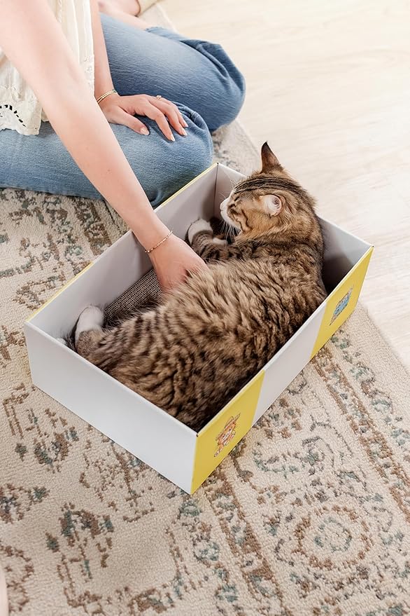 Timmy The Cat’s XL Cardboard Cat Scratcher Box - Snarky Pets Cat Scratch Lounge & Cat Bed - Durable Corrugated Scratch Pad for Large Cats & Chonks-Flat Pack with one pad