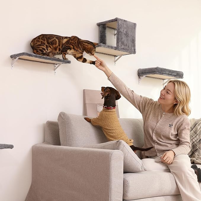 FUKUMARU Cat Wall Shelves, Stable & Safe 4 in 1 Cat Walls Furniture Set, Wooden Kitten Climbing Wall with Scratching Post for 16 Inch Drywall - Beige
