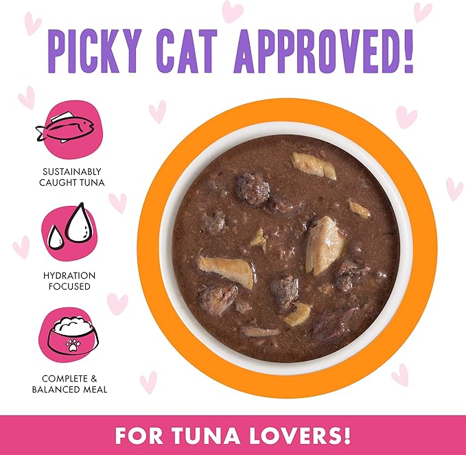 Weruva B.F.F. OMG - Best Feline Friend Oh My Gravy!, Tuna & Salmon Start Me Up with Tuna & Salmon, 2.8oz Can (Pack of 12)