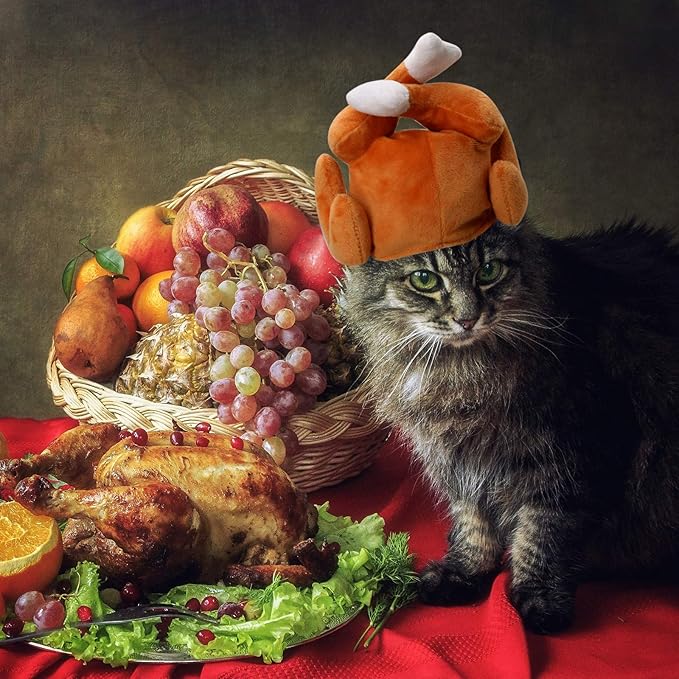 Rypet Thanksgiving Cat Costume 2 Pack - Pet Turkey Hat Thanksgiving Apparel for Cats and Small Dogs