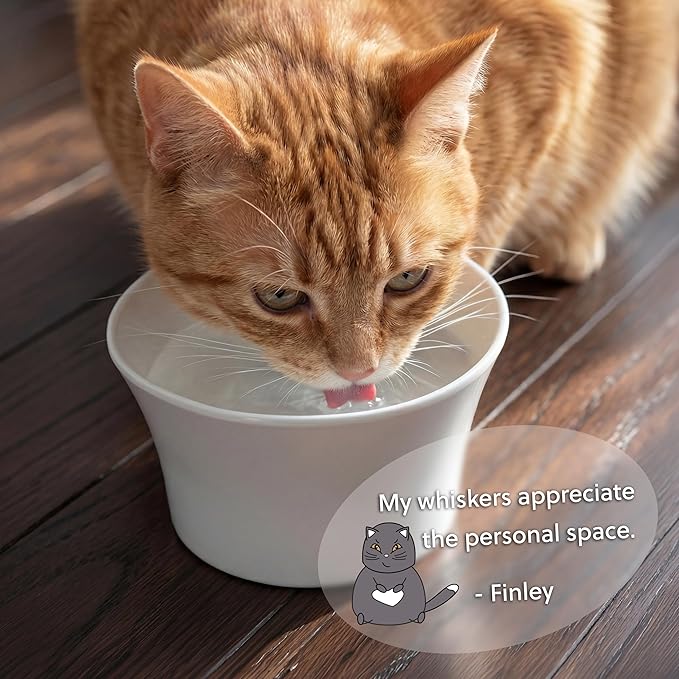 Elevated Cat Bowls for Water – Raised Bowl for Indoor Cats – Whisker & Neck Fatigue Shallow Cat Dishes – Vet-Recommended Height, Modern Pedestal Design – Non-Slip & Dishwasher-Safe – 8 oz Original