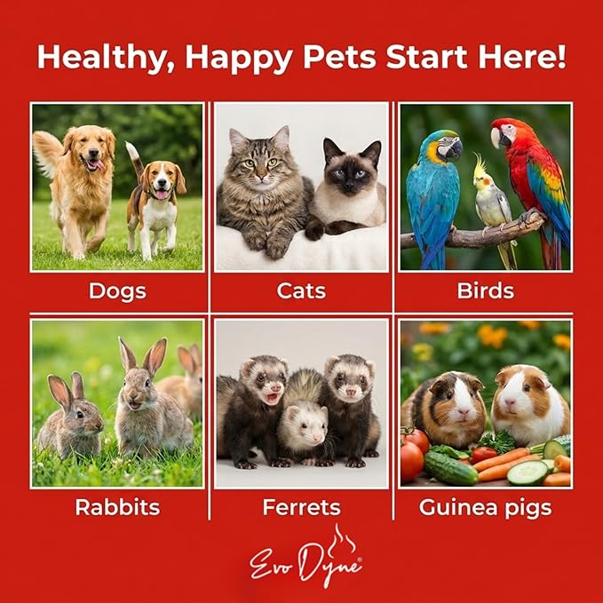 Styptic Powder for Dogs, Cats, and Birds (2 oz) by Evo Dyne | Fast-Acting Blood Stop for Pets | Quick Stop Bleeding Powder for Dog Nail Clipping, Grooming, Cuts and More (1-Pack)