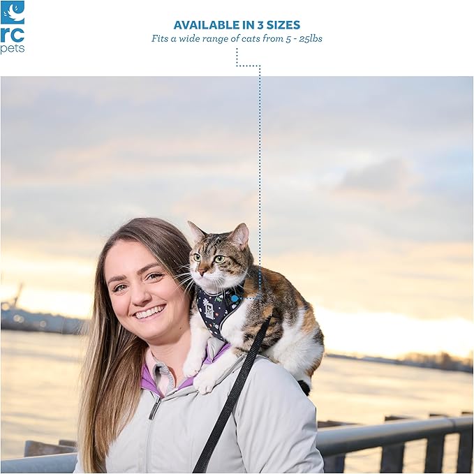 RC Pets Adventure Kitty Cat Harness | Adjustable Airmesh Vest with D-Ring and 6ft Leash for Walking and Travel | Marigold, Medium