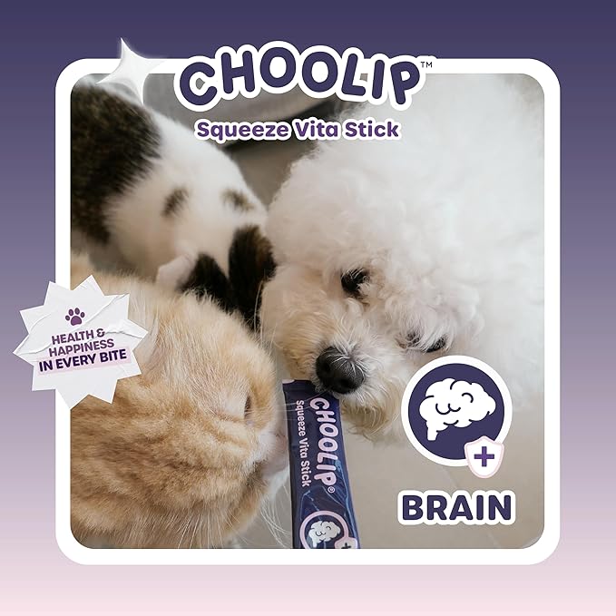 Choolip Squeeze Vita Stick Brain Support Lickable Cat and Dog Treats – 49-Count Beef and Chicken Sticks with DHA, CoQ10 & Vitamin E – Box with 7 Pouches for Brain Health