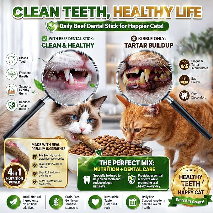 Cats Toy, 15PCS Grain-Free Beef Catnip Treats Freeze Dried Kitten Chew Sticks Edible Snack Food for Cleaning Teeth Training Kitty Chew Toys for Indoor Cats