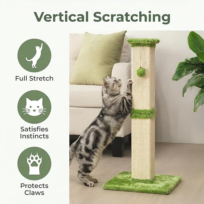 32" Tall Cat Scratching Post, Cat Scratcher with Heavy Duty Thick Wood Base, Cat Tower with Natural Sisal Rope and Hanging Ball, Plant-Like Design Scratching Post, for Small and Adult Kittens, Green