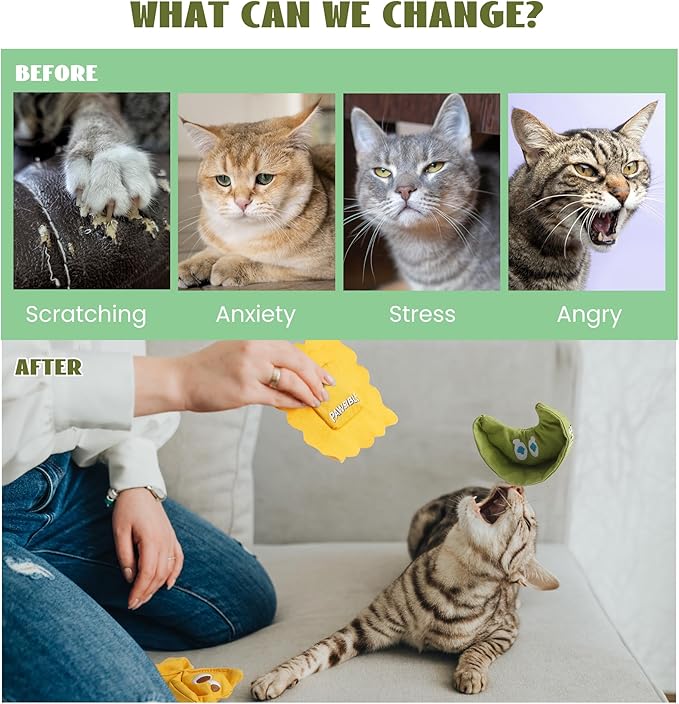 Pawsible 3 Pack Ravioli Catnip Toys for Indoor Cats, Interactive Cat Toys Filled with 100% Organic Catnip, Plush Chew Toys for Kittens, Teething Soft Catnip Toys for Cats