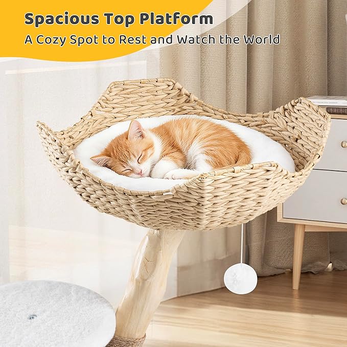 AQUILLA 30.7" Cute Cat Tree Tower for Indoor Cats, Fluffy Cat Condo with Seagrass Basket Bed, Furry Ball House, Sisal Scratching Posts & Stable Base, Beige