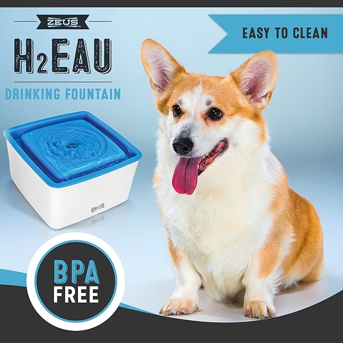ZEUS Mini Elevated Dog Water Dispenser, Dog Drinking Water Fountain, Small Dog Breeds