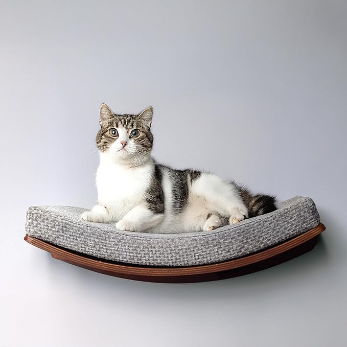 Premium Cat Shelves – Shelf in Walnut Brown with Replaceable Carpet with 2 Pine Wood Steps (3pcs). Sturdy Perches for Wall. Cat Hammock Bed Furniture for Cats