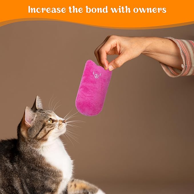 Seyezo Cat Toys for Indoor Cats, 5Ps Cats Fetch Toys, Fluffy Toys for Playing, Interactive Kitten Toys, Kitty Chew Teething Toys, Cat Chew Toy for Kittens (Multi Color, 5 Pack)