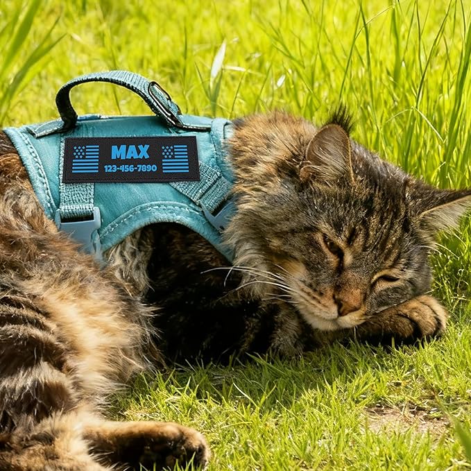 Custom Blue Tactical Cat Harness and Leash Escape Proof Adjustable Vest with Reflective Strips and Personalized Patch Soft Breathable Outdoor Gear for Walking Training Fits Cats 7-12 lbs