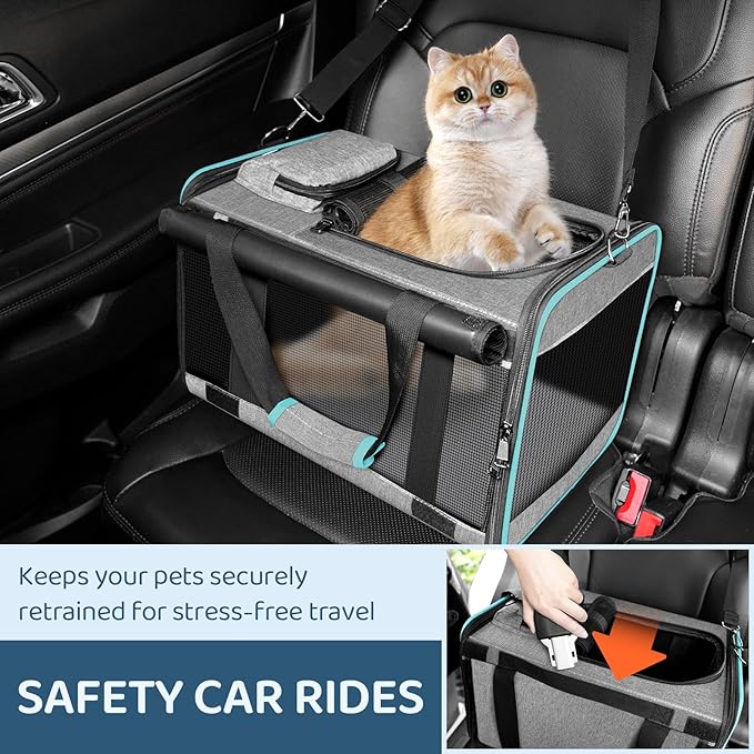 GAPZER Soft-Sided Pet Carrier for Air Travel 18x11x11 Inch - Underseat Cabin Carry Bag for Small Cats & Dogs Under 15 lbs