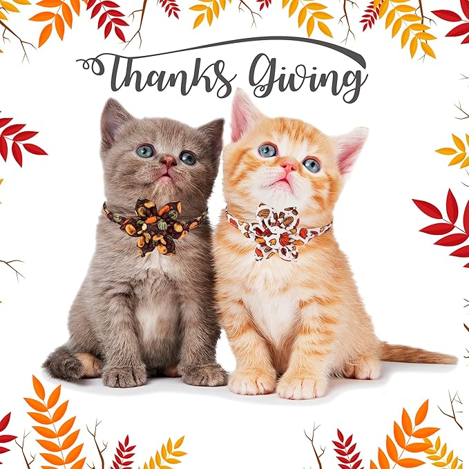 ADOGGYGO Thanksgiving Cat Collars with Removable Flower Bell, Adjustable Thanksgiving Fall Pumpkin Floral Collars for Girl Cats & Kittens