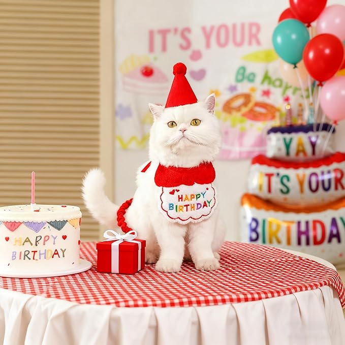Reusable Cat Birthday Decorations Set - Adjustable Cat Birthday Hat & Bandana with Age Numbers | Kitty Celebration Kit for Memorable Milestones（Red）