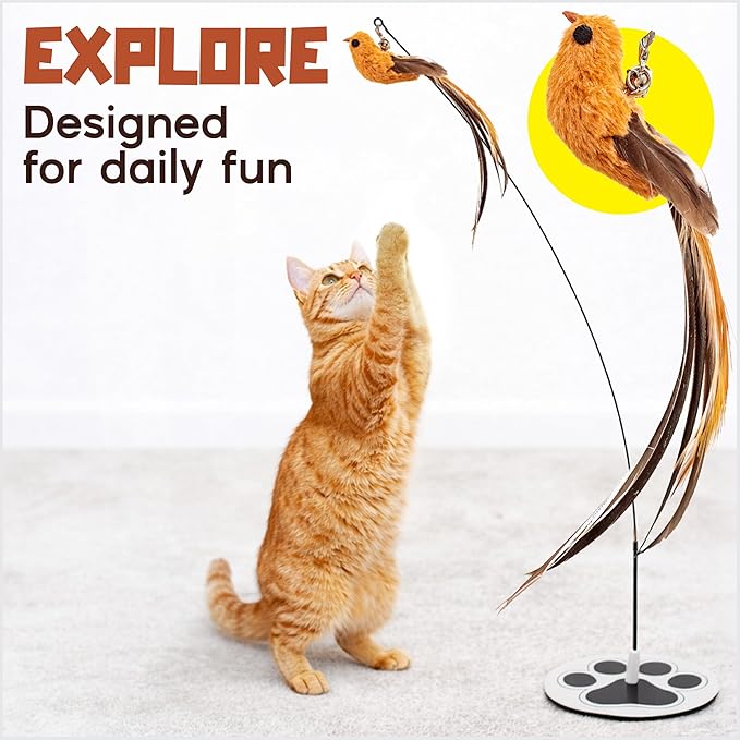 Bird Toy for Cats - 5 Pack Natural Feathers Stable Round Base - Interactive Wand Teaser - Self Play Hunting Enrichment - Bored Indoor Adult Feline Activity - Stimulating Kitten Juguetes para Gatos