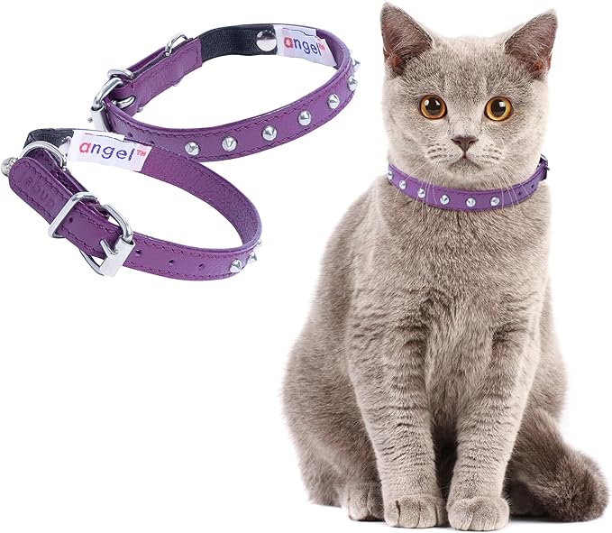 Studded Cat Collar, Genuine Leather Kitten Collar, Sturdy Breakaway Cat Collar with Bell and Elastic Stretch, Cat Accessories, Orchid Purple, 10 x 1/2 inches - Angel Pet Supplies