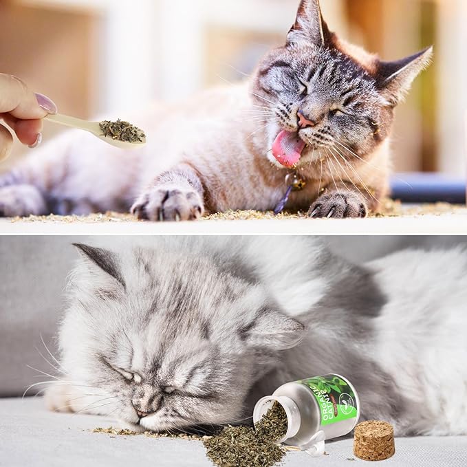 Organic Cat’s Cat nip Natural Dried Catnips Treat Used to Supplement Kitten Interactive Toys Great for Training Redirecting Bad Behaviors