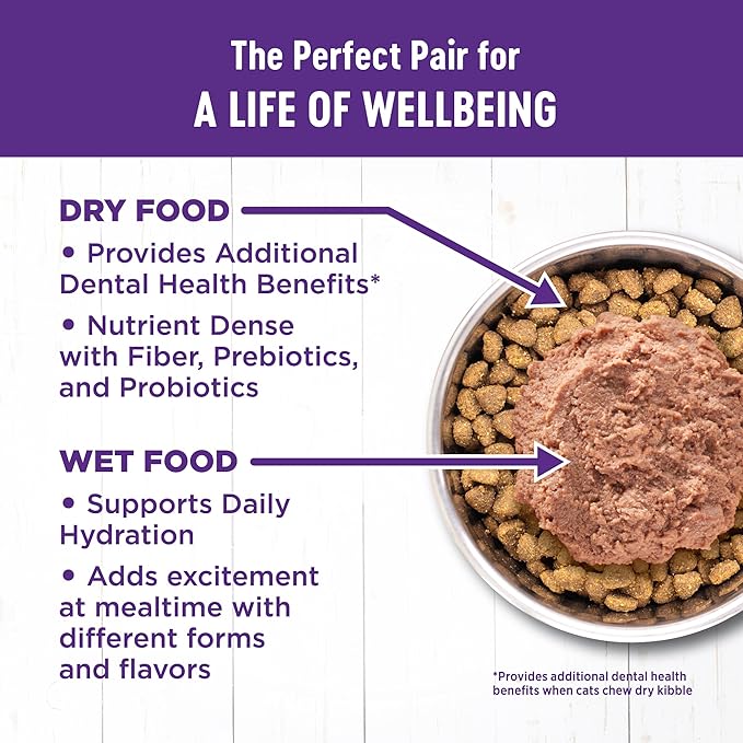 Wellness Complete Health Adult Dry Cat Food for Indoor Cats, Natural, Grain Free Kibble, Salmon and Herring Meal Recipe, 5.5 lb Bag