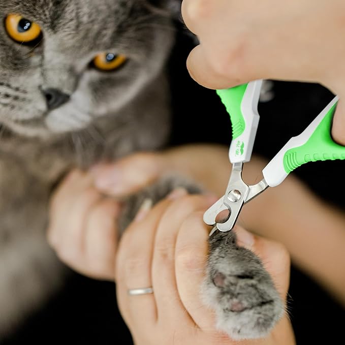 Mr. Pen- Cat Nail Clipper, Stainless Steel, Professional Sharp Cat Claw Trimmer for Small and Medium Cats, Pet Nail Clipper with Sturdy Non Slip Handle