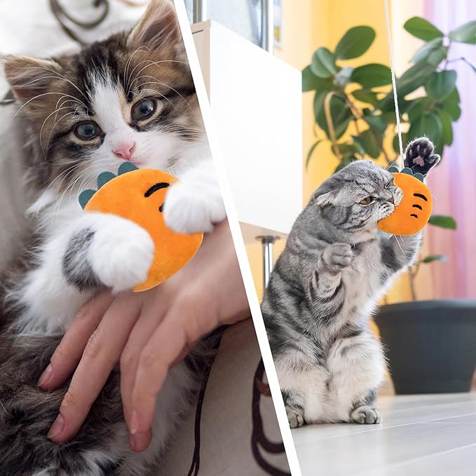 5pcs Catnip Toys, Funny cat Toys, bite Resistant cat Toys, Indoor Cartoon cat Toys for cat,cat chew Toys