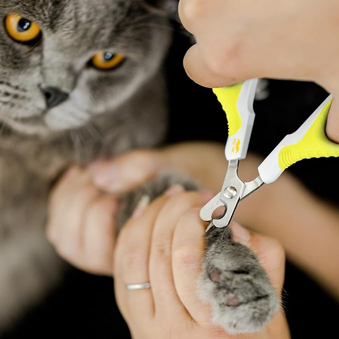 Mr. Pen- Cat Nail Clipper, Stainless Steel, Professional Sharp Cat Claw Trimmer for Small and Medium Cats, Pet Nail Clipper with Sturdy Non Slip Handle
