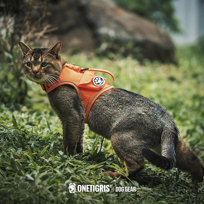 OneTigris Cat Harness and Leash - Escape Proof Soft Adjustable Cat Harness, Breathable, Comfortable, Durable Water-Resistant Tactical Vest with Reflective Strips and Pocket for Cat Tracker