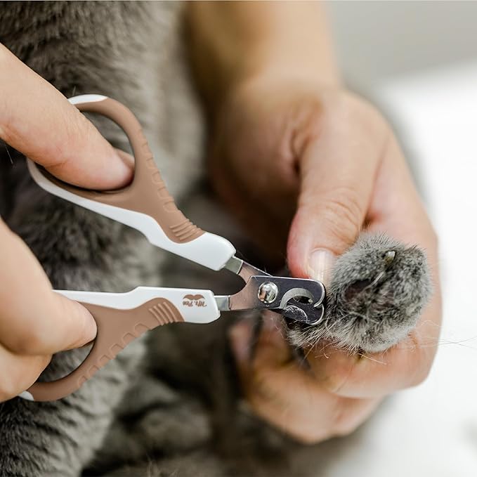 Mr. Pen- Cat Nail Clipper, Stainless Steel, Professional Sharp Cat Claw Trimmer for Small and Medium Cats, Pet Nail Clipper with Sturdy Non Slip Handle