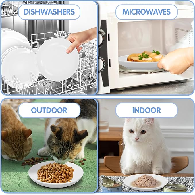 6 Pack Cat Food Bowl, Ceramic Cat Bowls, Anti Whisker Fatigue Cats Bowl Set,5.5 Inches Shallow Wide Kitten Plates for Food and Water (White-C)