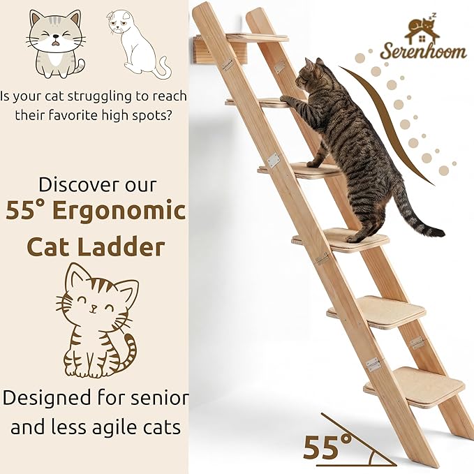 65" Tall 6-Level Cat Ladder for Window & wall | Fits Cats up to 20 lbs |Senior & Less Agile cat Stairs for Window with 55° Gentle Incline | Requires 31" Floor Clearance | No-Drill Glass Installation