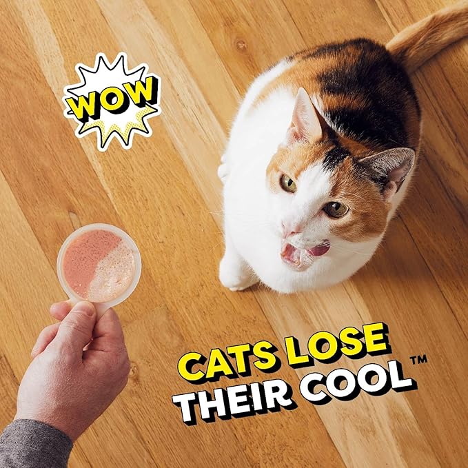 Temptations Lickable Spoons, Soft Lickable Cat Treats, Adult Wet Cat Treats, Tasty Chicken and Savory Salmon Flavor, 8 Spoons, Pack of 12 (96 Total)
