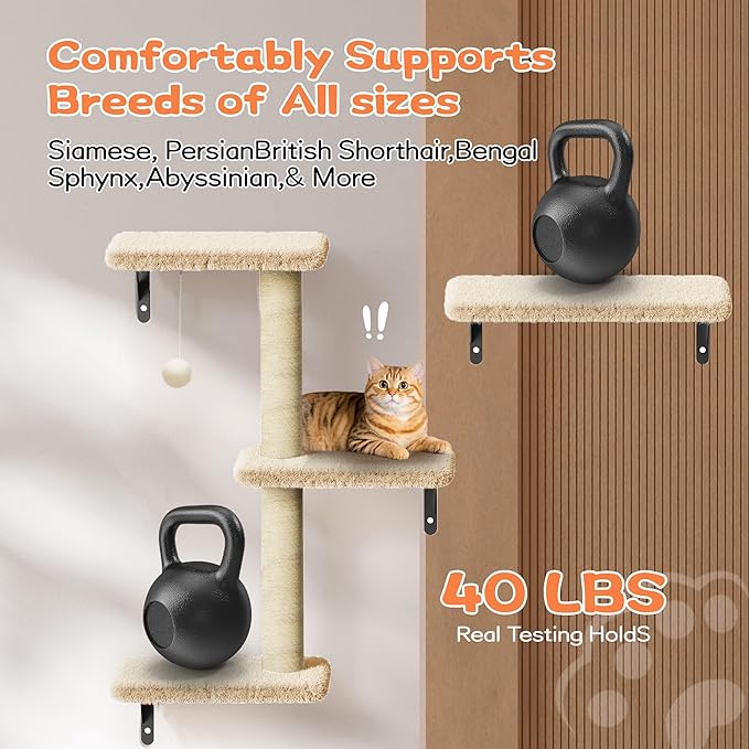 Cat Wall Shelves for Large Cats, Stable & Safe Kitty Walls Furniture Set for 40LBS Cats with Wooden Cat Climber,House, Bridge, Tree, Steps, and Scratcher for 16 Inch Drywall (Beige, 5-in-1)