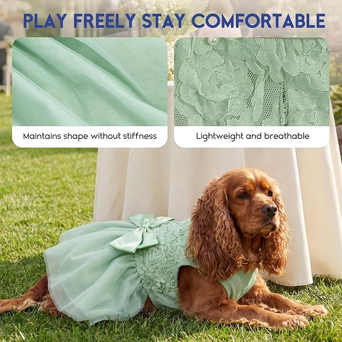 ASENKU Dog Dress Pet Wedding Dress Princess Lace Puppy Birthday Party Outfit Formal Apparel Girl for Small Medium Dogs Cats (X-Small, Green)